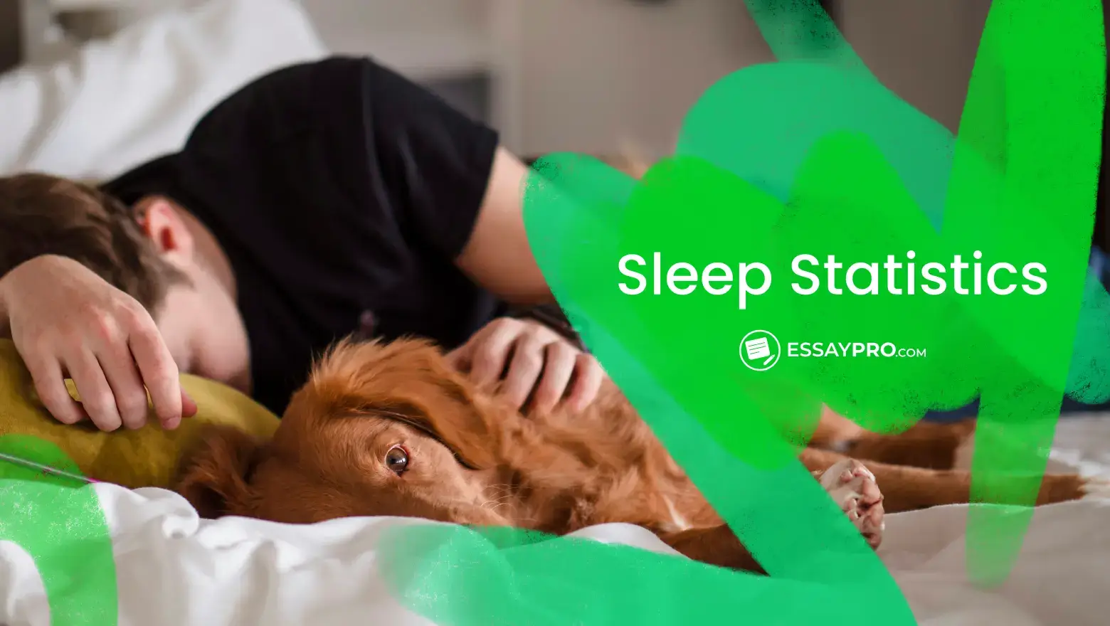 Sleep Statistics